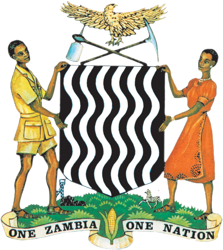 Smart Zambia